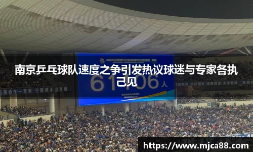 南京乒乓球队速度之争引发热议球迷与专家各执己见